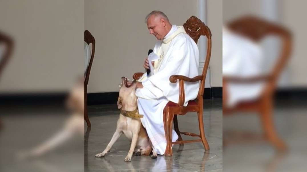 Cachorro invade missa e reação do padre encanta a internet
