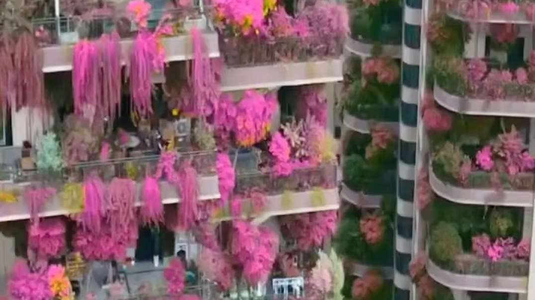 Predio Florido ! Condominio Fica Na China