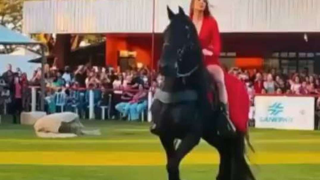 Moça Linda Apresentaçao Com Cavalo