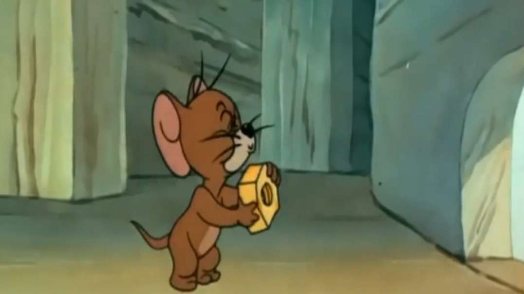 Tom e Jerry, o melhor desenho animado de todos os tempos