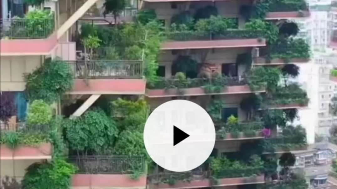 Plantas 'invadem' prédios na China e moradores abandonam imóveis.