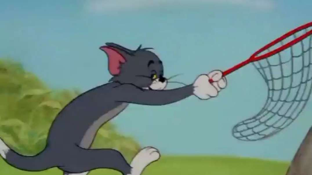 Tom & Jerry em Português | Brasil